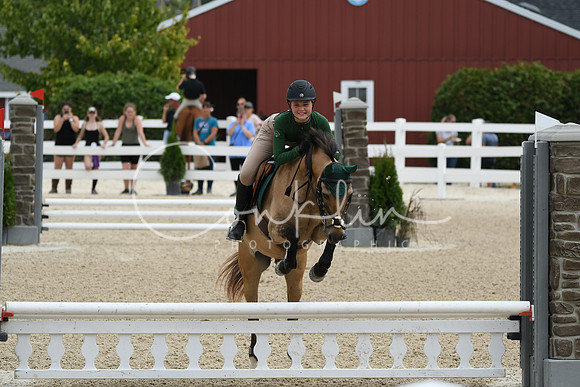 HSM_2446