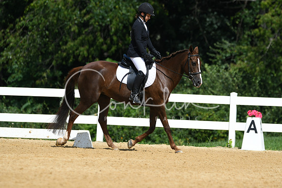 HSM_1173