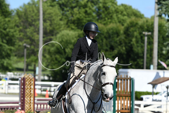HSM_8923