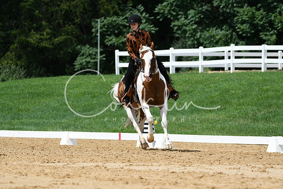 HSM_0619