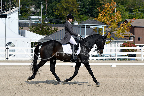 HSM_1452-1