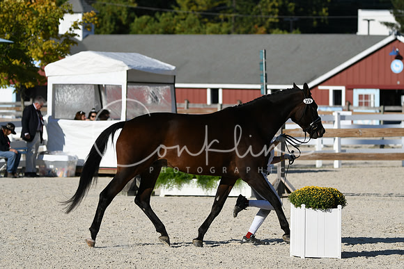 HSM_5436