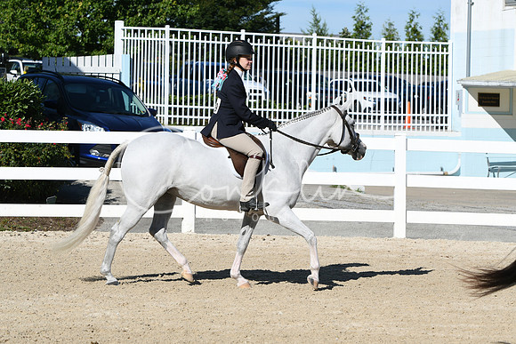 HSM_2318
