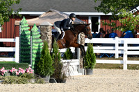 HSM_0029