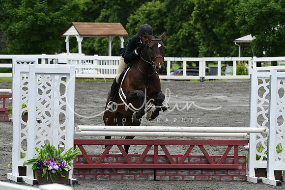HSM_4079