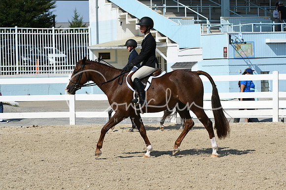 HSM_8276