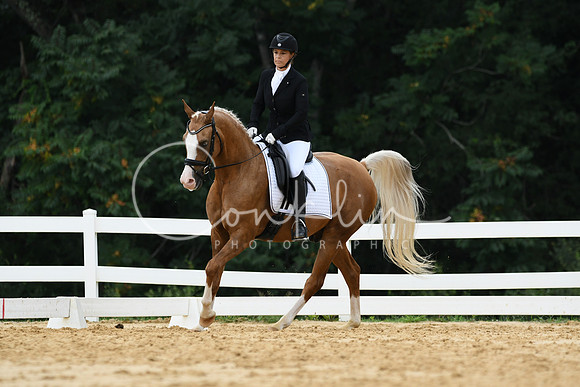 HSM_0261