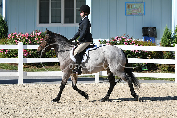 HSM_2274