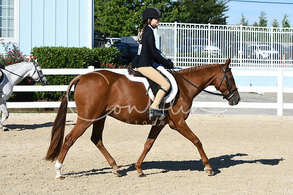 HSM_2321