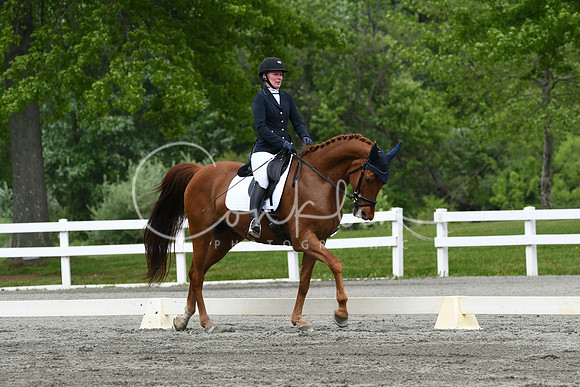 HSM_0581
