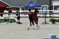 HSM_5366