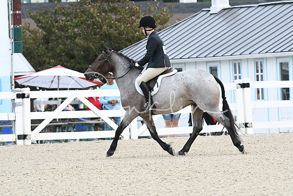 HSM_4951
