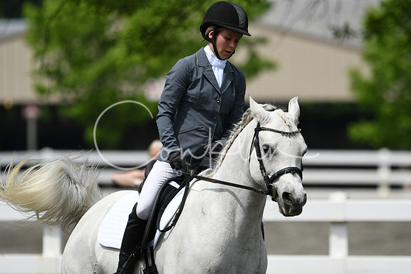 HSM_9819