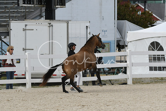 HSM_5403