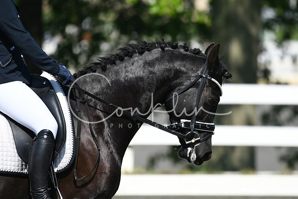 HSM_1161