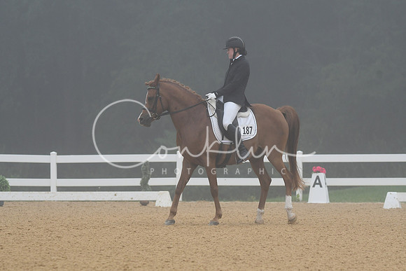 HSM_0728