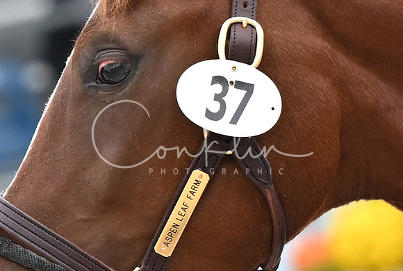MAK_3253