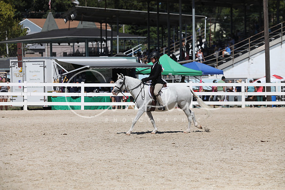 5H2A4291