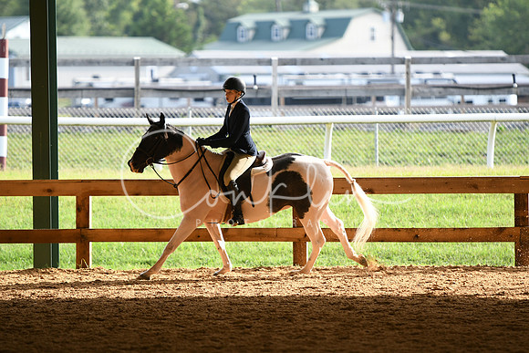 HSM_0981