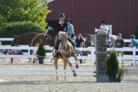 HSM_1273