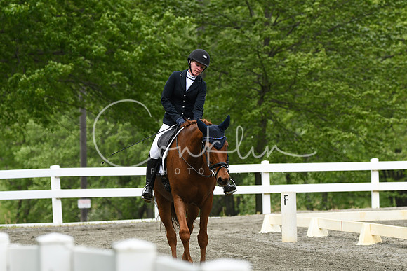 HSM_0596