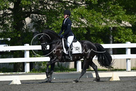HSM_1156