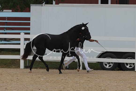 HLK_3658