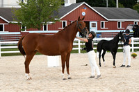 HSM_6317
