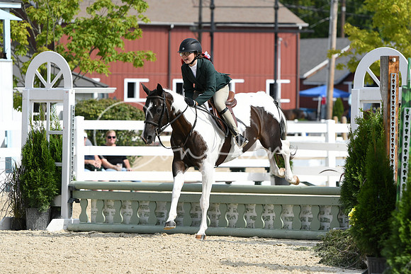 HSM_6208
