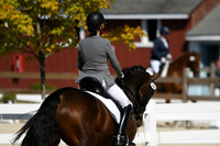 HSM_6797