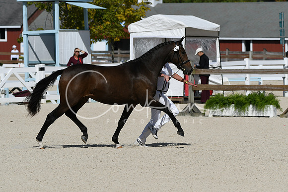 HSM_4975