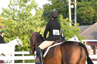 HSM_0271