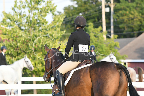 HSM_0271