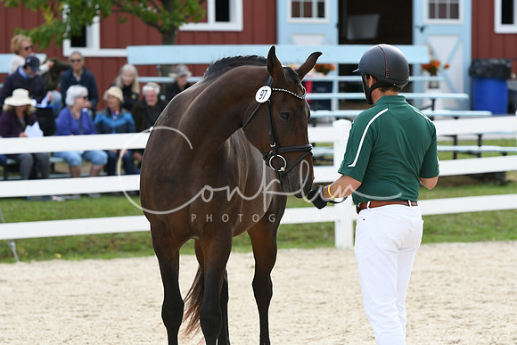 HSM_6173