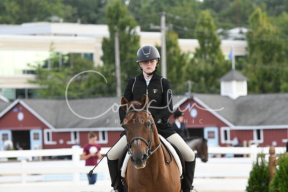 HSM_5371