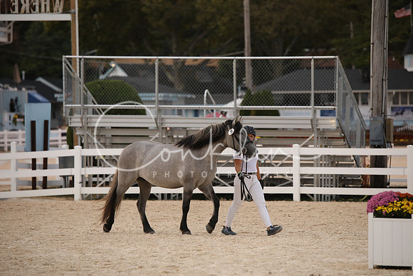 BW242103