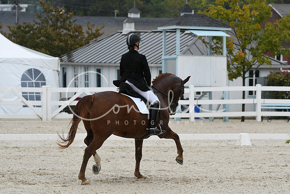 HSM_0353