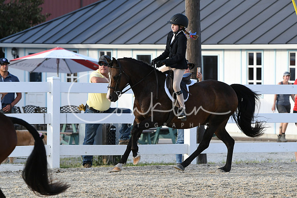 HSM_4579