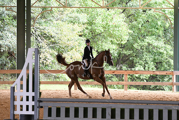 HSM_2885
