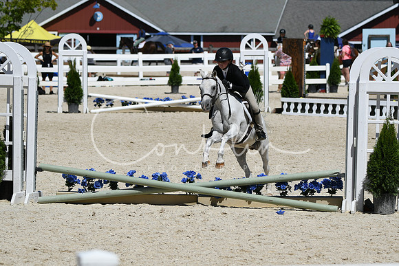 HSM_3259