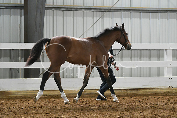 HSM_3650