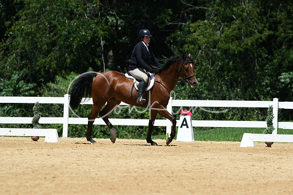 HSM_1328