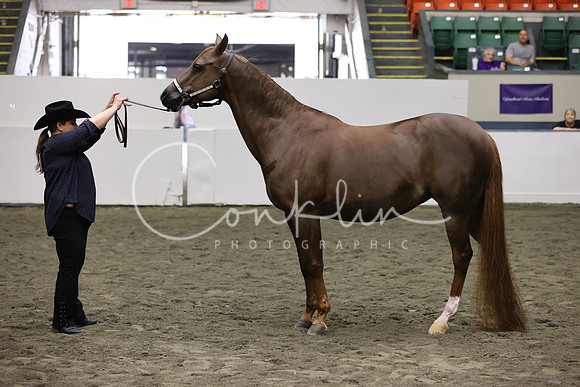 RJC34985
