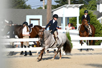 HSM_0047