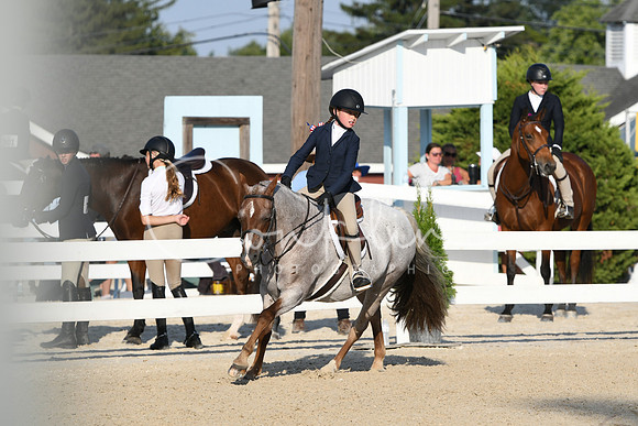 HSM_0047
