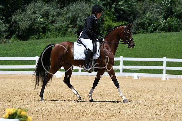 HSM_1516