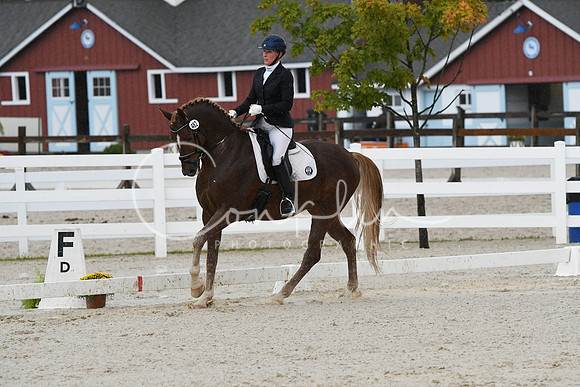 HSM_0567