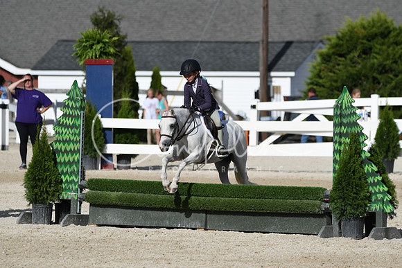 HSM_4193