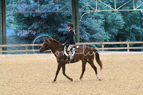 HSM_4119