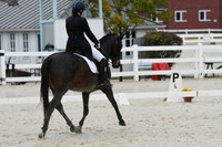 HSM_0883